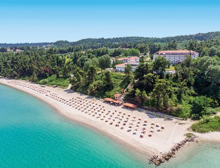 Canvas by Mitsis Alexander the Great