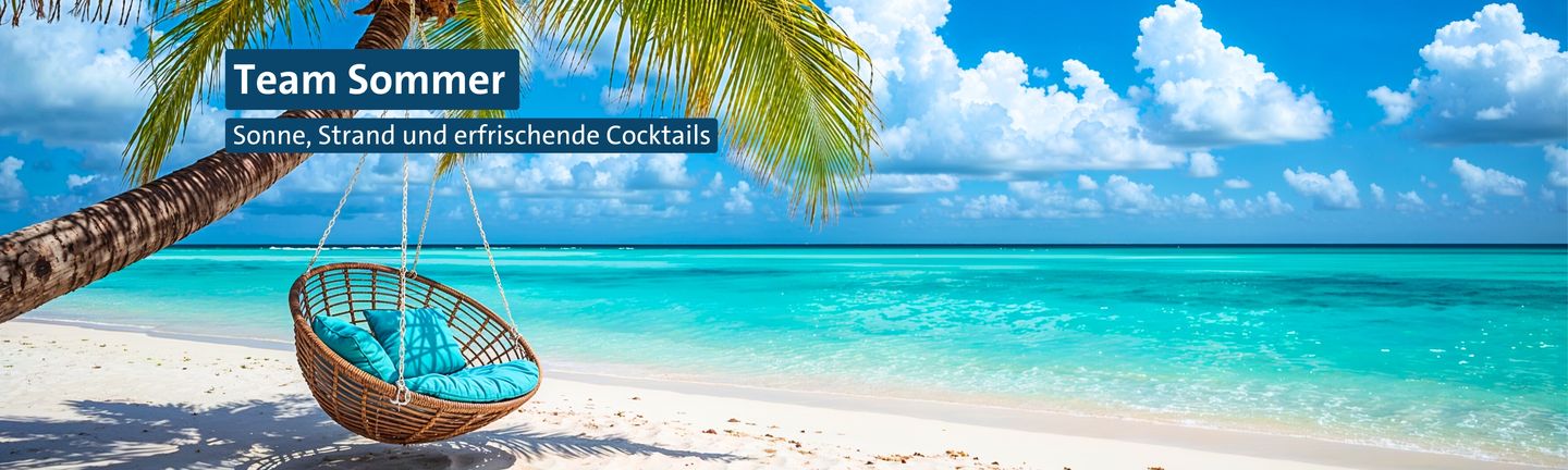 Team Sommer