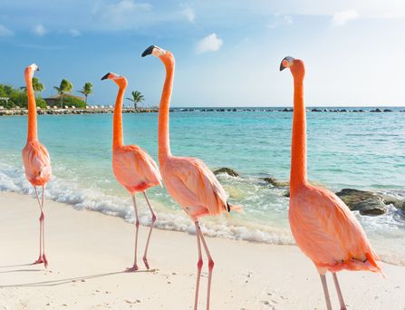 Curacao