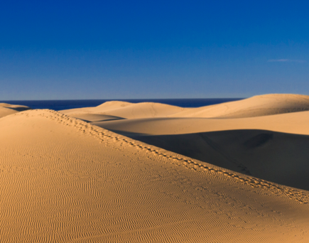 Dünen von Maspalomas, Gran Canaria