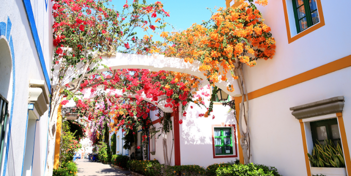 Gran Canaria