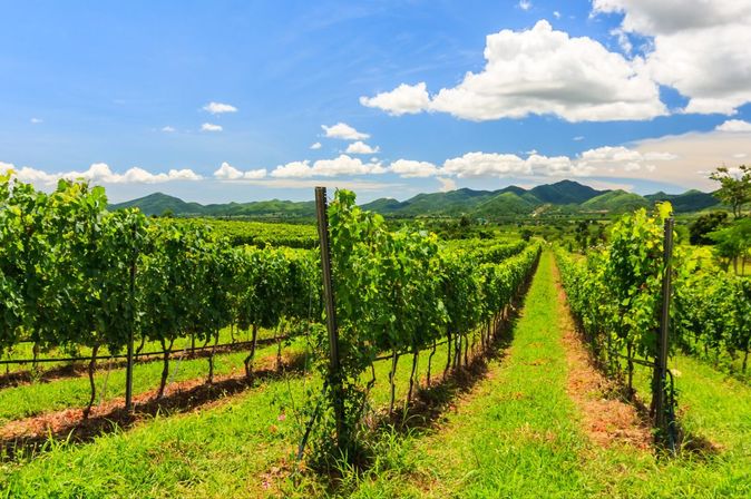 Weingenuss in den Tropen, Hua Hin