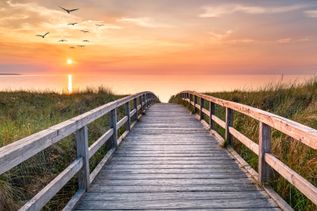 Nordseeküste. Steg über die Dünen mit Blick auf den Sonnenuntergang über dem Meer. Vögel in der Ferne