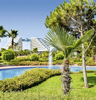 Hotel Miracle Resort
