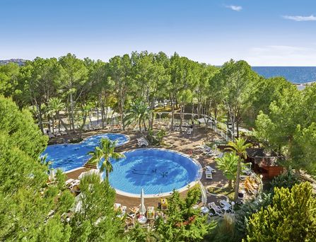 allsun Hotels. Pool inmitten von Pinienbäumen 