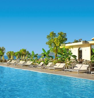 Domes Aulus Zante, Autograph Collection