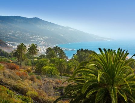 La Palma