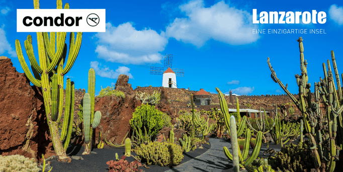 Mit Condor nach Lanzarote