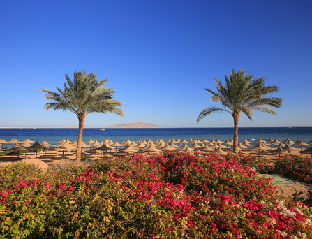 Sharm El Sheikh