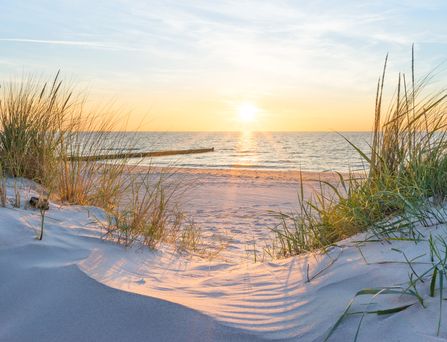 WELLNESS POLEN