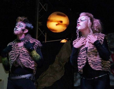 alltours - Show - Cats