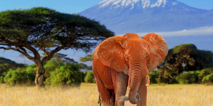 Kenia