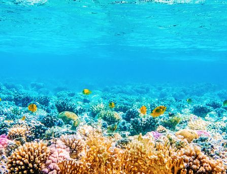 Marsa Alam