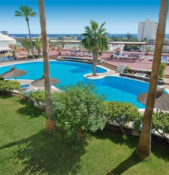 Studios Matorral Jandia