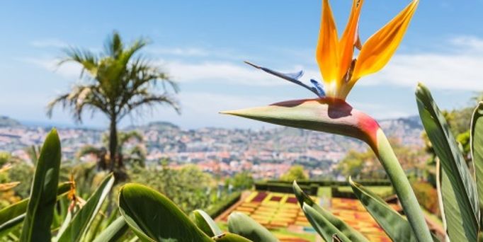Madeira